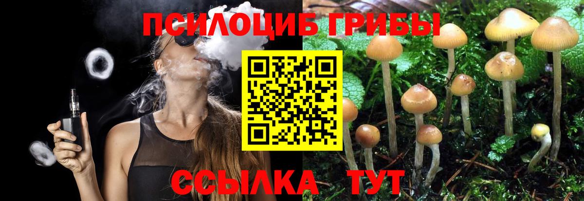 Елизово  Галлюциногенные грибы мухоморы  Вход с VPN 
